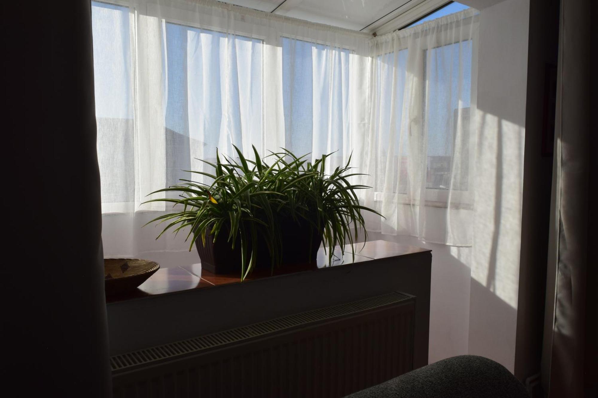 Apartament Simina Тімішоара Екстер'єр фото